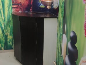 Swedan Room (Steam Bath)